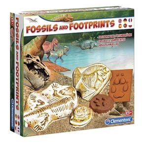 Fósiles Y Huellas