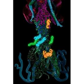 Posea Monstruita Las Monster Profundidades High De xeBodrC