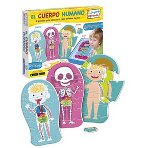 El Cuerpo Humano