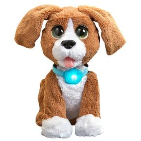 Charlie Fur Parlachin Real Perro Mi 1JlTFKc3
