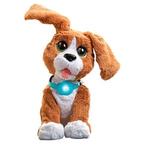 Charlie Fur Parlachin Real Perro Mi 1JlTFKc3