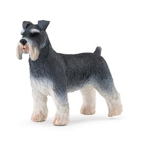 Schnauzer Perro Safari