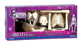 Scientific Tools Esqueleto Humano