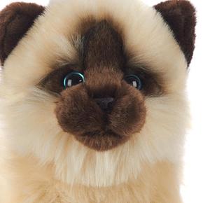 De Animal Pelo Siamés 30cm Peluche Alley Gato Largo iOuTXPZk