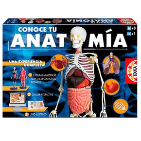 Conoce Tu Anatomía