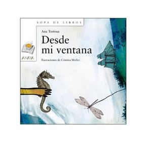 Desde Mi Ventana