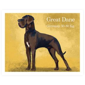 Cromo 9 Great Dane