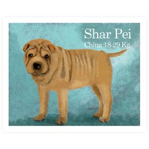 Cromo 2 Shar Pei