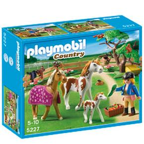 Cuidadora Con Caballos Playmobil