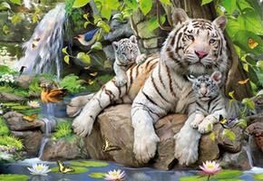 Puzzle Tigres Blancos De Bengala 1000 Piezas
