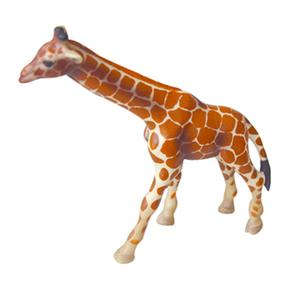 Fw Jirafa Pequeña / Little Giraffe