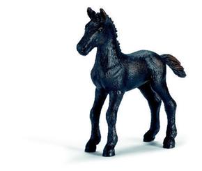 Ffa Potro Frison/frisian Foal