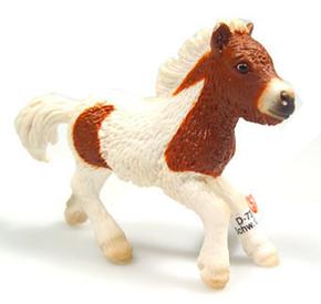 Ffa Potro Shetland / Shetland Colt