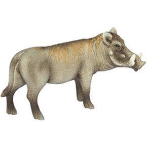 Fw Jabali Verrugoso / Warthog Boar