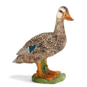 Ffa Pata/duck