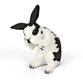 Ffa Conejo Lamiendo/rabbit Grooming