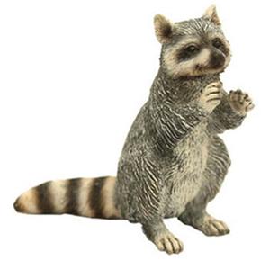 Ff Mapache De Pie / Raccon Standing