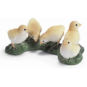 Ffa Pollitos/chick