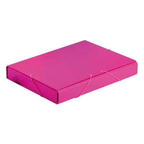 Carpeta Proyecto Folio Rosa