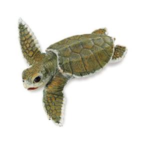 Ocean Life Baby Lora Turtle