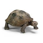 - Tortuga Gigante Schleich