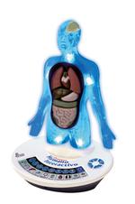 Scientific Tools Cuerpo Humano Interactivo