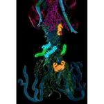 Monster High – Posea Monstruita De Las Profundidades-3