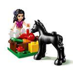 Lego Friends – Puesto De Lavado Del Potro – 41123-7