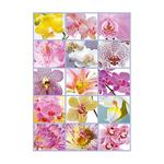 Educa Borrás – Collage De Flores – Puzzle 1500 Piezas-1