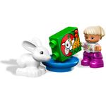 Lego Duplo Tienda De Animales-4