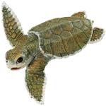 Figura Tortuga De Mar Bebe Safari
