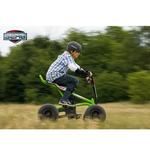 Berg Toys Kart Quad Berg Freestyler 2wd-3