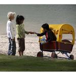 Berg Toys Cubierta Para Vagoneta Beach Wagon-1