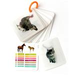 Cartas Magic Animals Flash