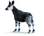 Fw Okapi