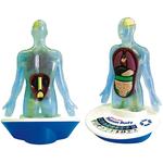 Cuerpo Humano 3d Interactivo Eduland