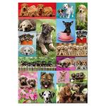 Puzzle 1000 Piezas “collage Perritos”