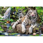 Puzzle 1000 Piezas – Tigres Blancos De Bengala