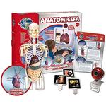 Anatomicefa-1