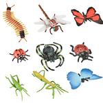 Itsimagical Bioexplorer Insects