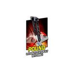 Wwe Superstar Ring – Raw-4