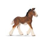 Ffa Potro Shire/shire Colt