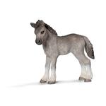 Ffa Potro Pony Fell/pony Fell Colt