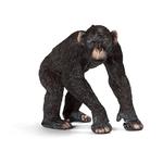 Fw Chimpancé Macho/chimpazee Male