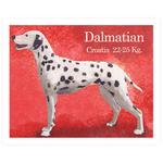 Cromo 8 Dalmatian