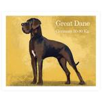 Cromo 9 Great Dane