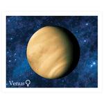 Cromo 37 Venus