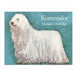 Cromo 10 Komondor