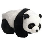 Oso Panda Importación