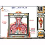 El Cuerpo Humano 3.0-1